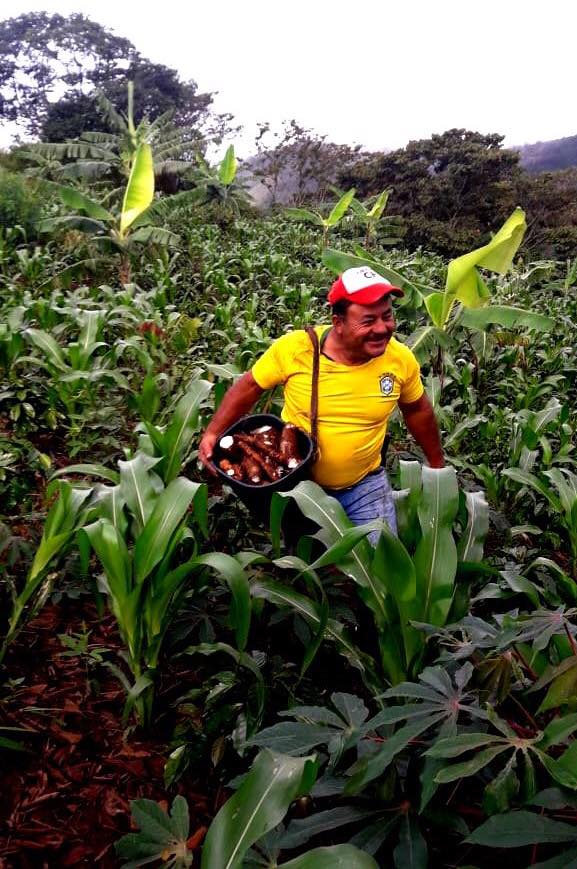 Colombia Huila - Anaerobic Natural image 4