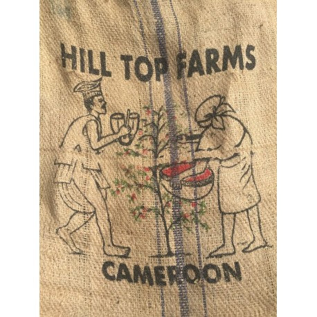 Cameroon Boyo image 1