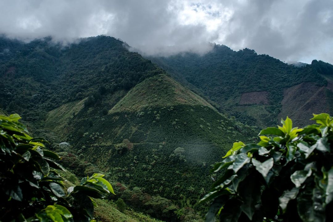 Colombia Antioquia image 1
